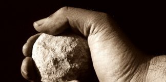 Due parole ai “salviniani” di Grazia Scanavini