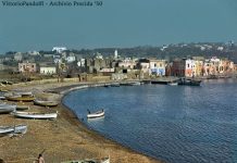 Due fratelli di mare