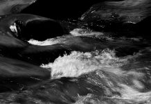 Come un legno per un naufrago