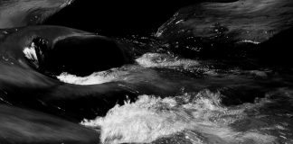 Come un legno per un naufrago