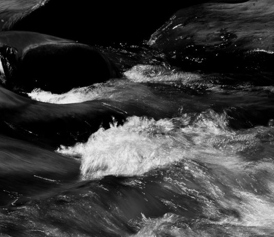 Come un legno per un naufrago