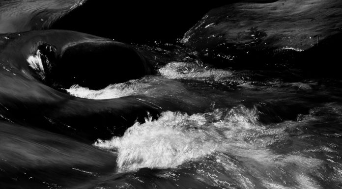 Come un legno per un naufrago