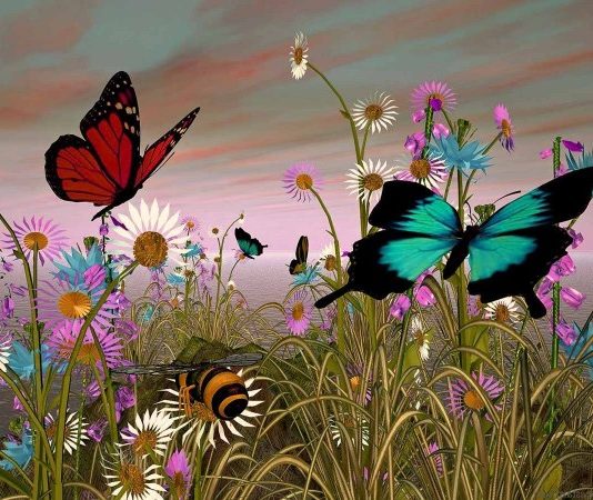 Spudorate le farfalle