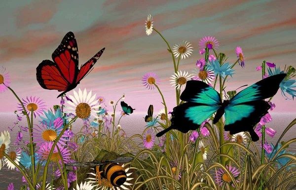 Spudorate le farfalle