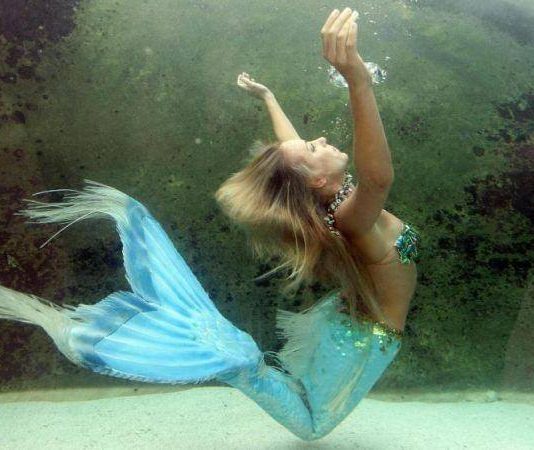 Aspettami sullo scoglio