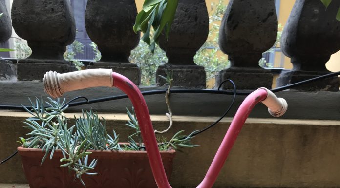 Sul mio terrazzo c’è un triciclo