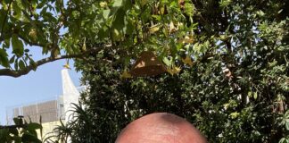 E’ scorso altro tempo