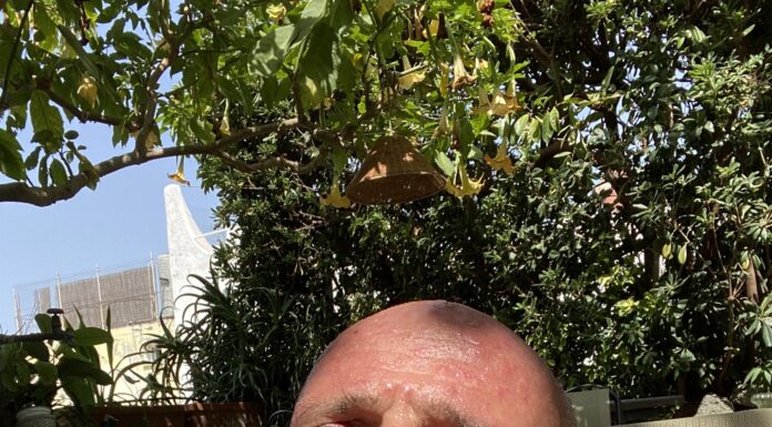 E’ scorso altro tempo